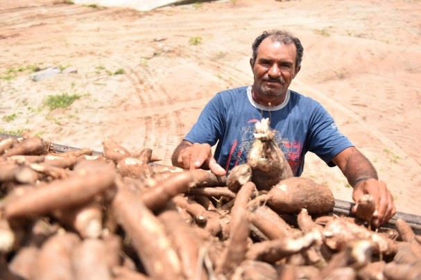 Agricultor desde criança, Ivanildo Bernardino, 62, afirma que sua perspectiva de trabalho mudou para melhor. Ele agora conta com a garantia de ter toda sua produção de mandioca revendida à fábrica de goma Delícia Potiguar, primeira beneficiada com o Programa de Apoio ao Desenvolvimento Industrial (Proadi) na gestão atual